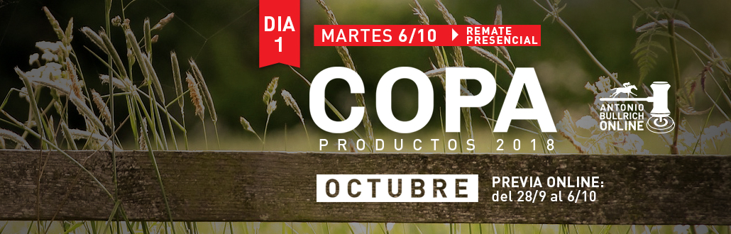Descargá el catálogo de la Copa OCtubre 2020 de Haras la Pasión.